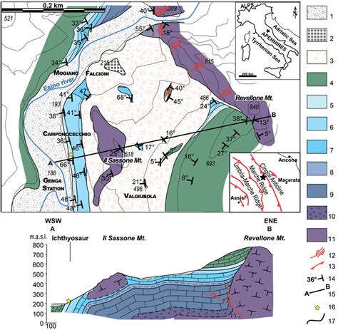 Colour Online Geological Map And Section Of The Discovery Site Of