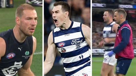 AFL Results 2024 Geelong Cats Defeat Carlton Blues Highlights Round 7