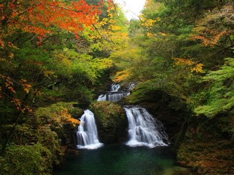 秋旅！紅葉や温泉、絶景など秋に行くべき西日本の名所20選 トラベルマガジン