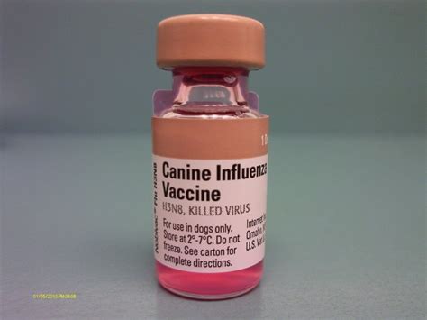 Vaccine - Canine influenza