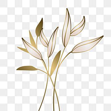 Golden Flower Ornament Vector Art Png Golden Leaves Or Flower Ornament