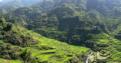 Terrace Farming In The Philippines Imgur