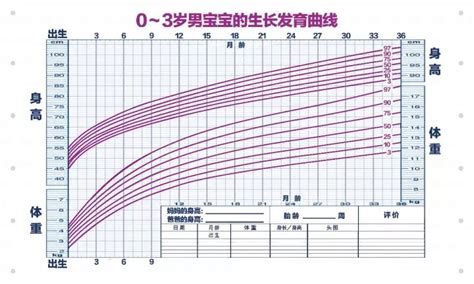 人的生长曲线图 曲线图 曲线图怎么画 大山谷图库