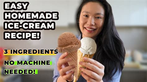 Easy Homemade Ice Cream Recipe Only 3 Ingredients And No Ice Cream