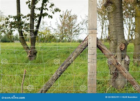 Simple Garden Fence Made Of Wooden Posts And Barbed Wire Stock Image Image Of Barbed Natural