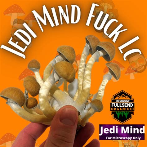 Jedi Mind Fuck Liquid Syringe Fullsend Organicks