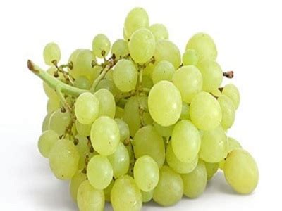 Seedless Grape – bklagricgroups.co.za