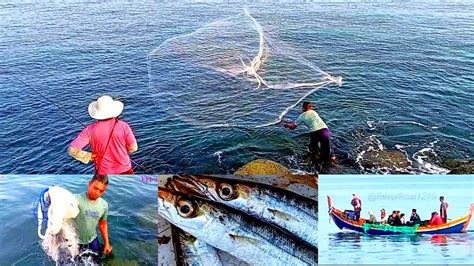 Teknik Menjala Ikan Di Laut Lepas Sekali Lempar Dapat Beragam Jenis