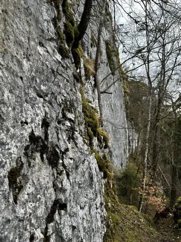 Best Easy Trails In Doubs Natural Regional Park Alltrails