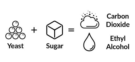 Fermentation Temperatures in the Brewing Process