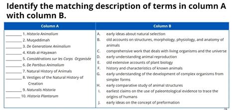 Identify The Matching Description Of Terms In Column A With Column B