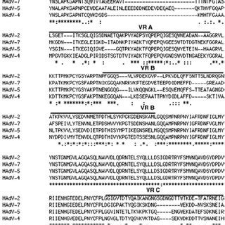 Multiple Sequence Alignment Of The Hexon Proteins Of HAdV Serotypes 2