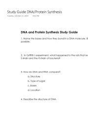 Study Guide DNAProtein Synthesis Pdf Study Guide DNA Protein