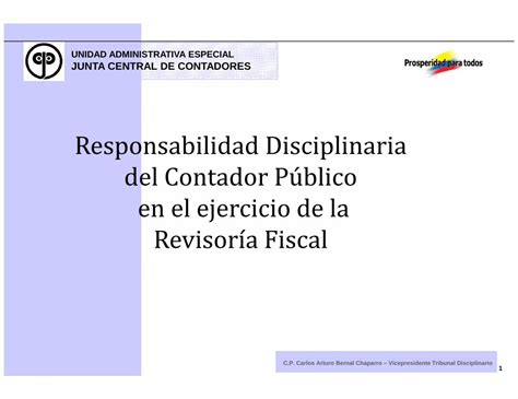 Pdf Responsabilidad Disciplinaria Del Contador P Blico En El