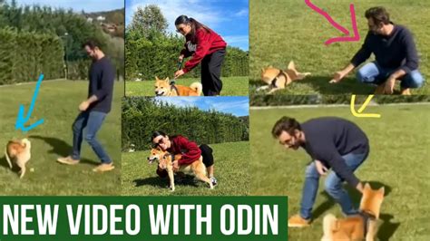 Özge yagiz and Gökberk demirci New Video with dog Odin YouTube