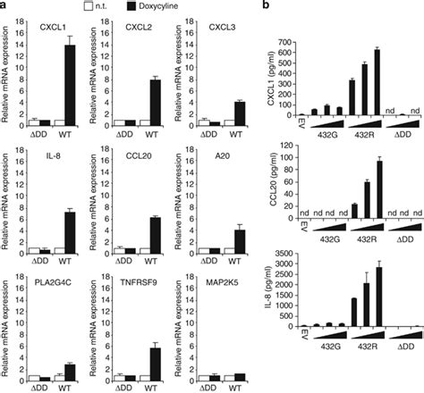 Unc Cl Induces The Expression And Secretion Of Chemokines A Hek