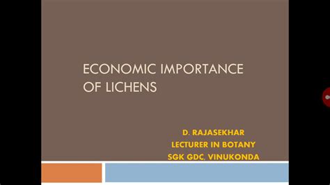 Economic Importance Of Lichens YouTube