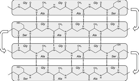 Silk Chemical Structure