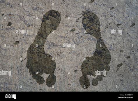 Wet Footprint On A Concrete Pavement Stock Photo Alamy