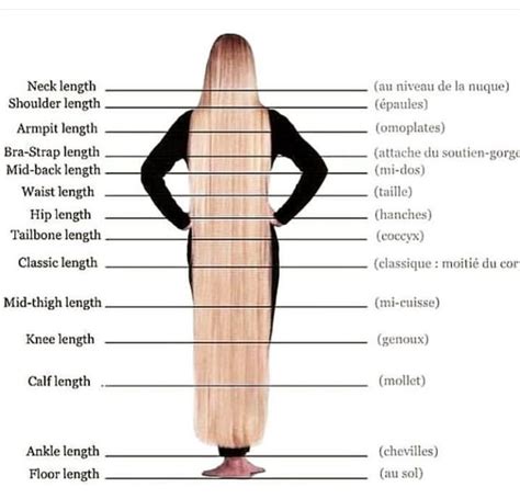 Monat can help any length, kind, style | Hair chart, Hair growth charts ...