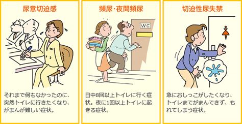 泌尿器科の疾患と治療｜岡山市東区平島クリニック｜膀胱炎・排尿障害・edなど