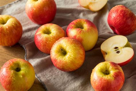 Malus Domestica Honeycrisp Semi Dwarf Apple