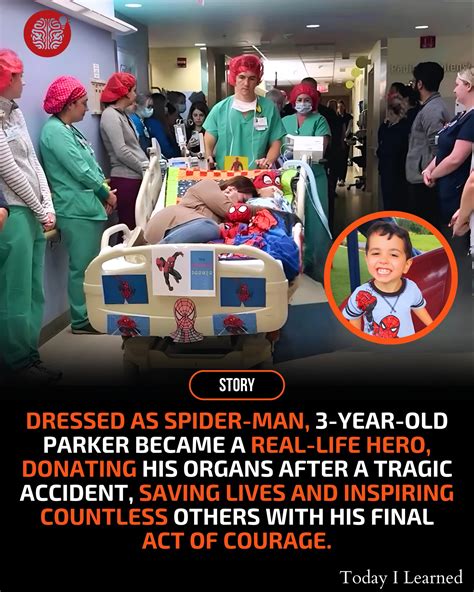 Today - 🕷️ Parker Wore a Spider-Man Suit And Became a Real-Life