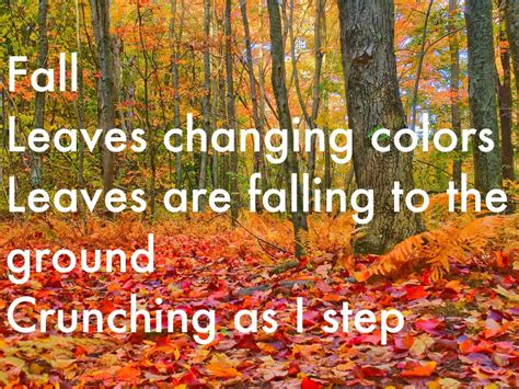 Haiku Poems About Fall