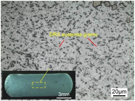 Microstructure Of GH4169 Superalloy After Hot Compression Central Zone