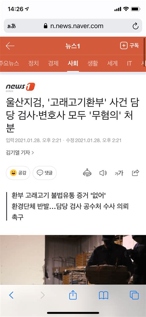 울산지검 고래고기환부 사건 담당 검사·변호사 모두 무혐의 처분 정치시사 에펨코리아