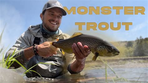 Monster Brown Trout In The Catskills Youtube