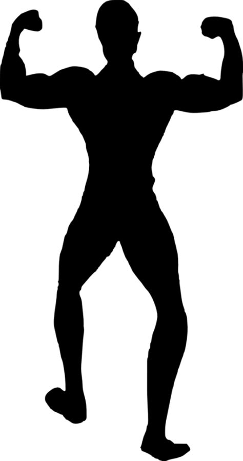 muscle clipart silhouette muscle silhouette transparent