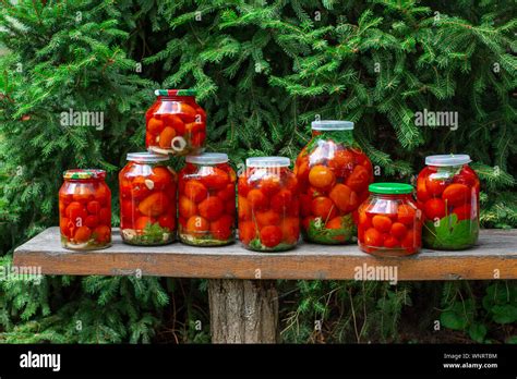 Production Of Canned Tomatoes In The Jar Processing Your Own Vegetable