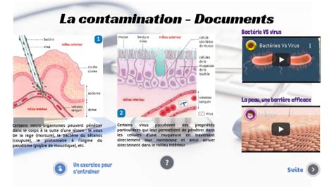 Contamination Et Infection