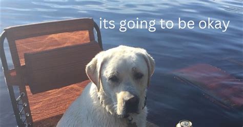 Biden Pussy Film List