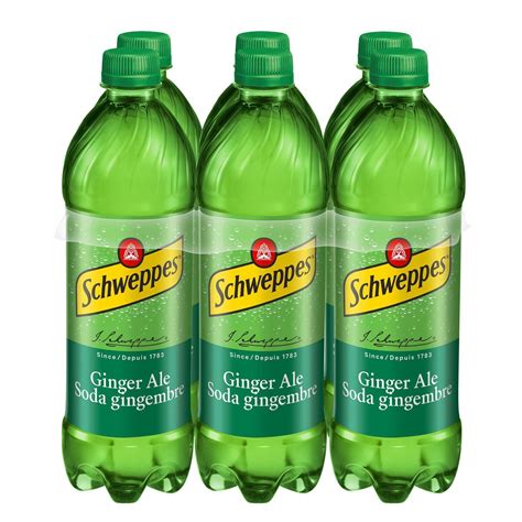 24 Bottles Of Schweppes Ginger Ale Soda Soft Drink 710ml Each Free