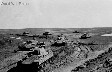 Panthers Of The 5ss Panzer Division Wiking August 1944 World War Photos