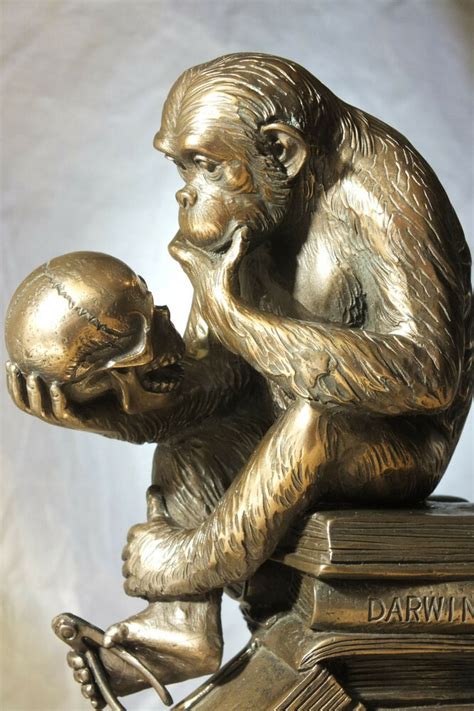 Hugo Rheinhold affe mit schädel bronziert 19x10cm darwin figur skulptur