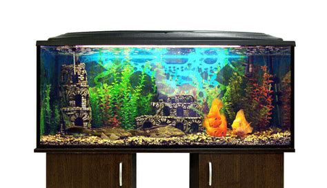 Best 75 Gallon Aquarium Stands The Fish Keeping Aquarium Guide