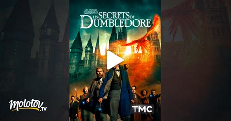 Les Animaux Fantastiques Les Secrets De Dumbledore En Streaming Sur TMC