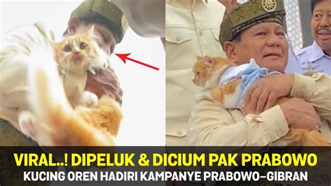 VIRAL Dipeluk Dicium Prabowo Momen Lucu Kucing Oren Ikut Kampanye