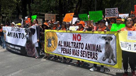 Marchan por los animales en México miles exigen alto al maltrato animal