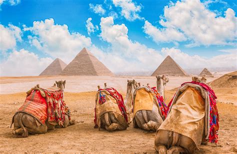 Camel Ride At Pyramids Of Giza Riding Camels In Egypt