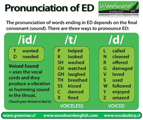 Cpi Tino Grand O Bilingual Sections Pronunciation Of Past Simple Ed