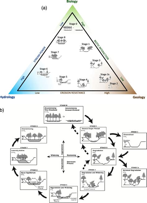 A Stream Evolution Triangle With Stages Of Stream Evolution Cluer