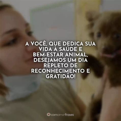 Frases do Dia do Veterinário 9 de Setembro Amor Frases