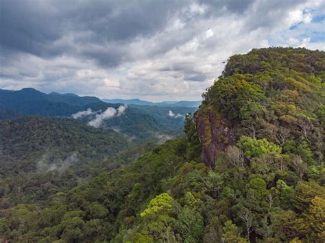 Reserva Natural De La Selva Tropical De Sinharaja Sri Lanka Vista