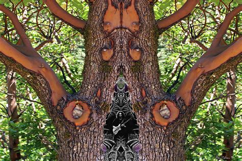 Psychedelic Madrone Tree Photograph by Benjamin Upham III - Fine Art ...