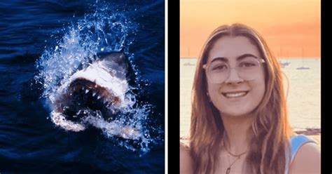 Stella Berry Teen Mauled To Death By Shark Created Ocean Pool Design