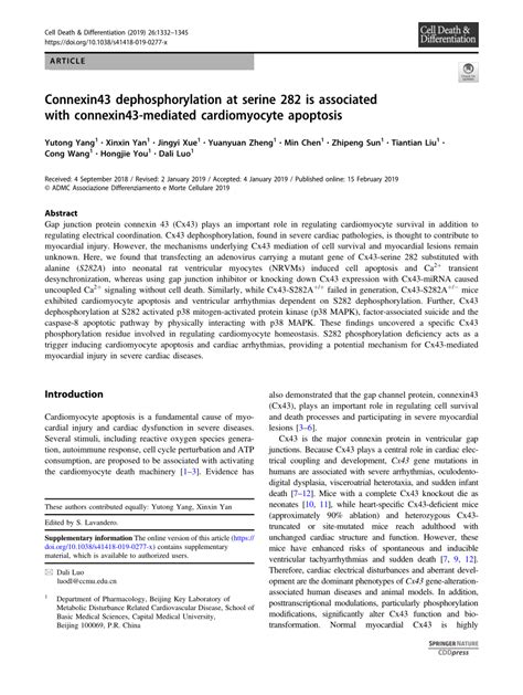 PDF Connexin43 Dephosphorylation At Serine 282 Is Associated With